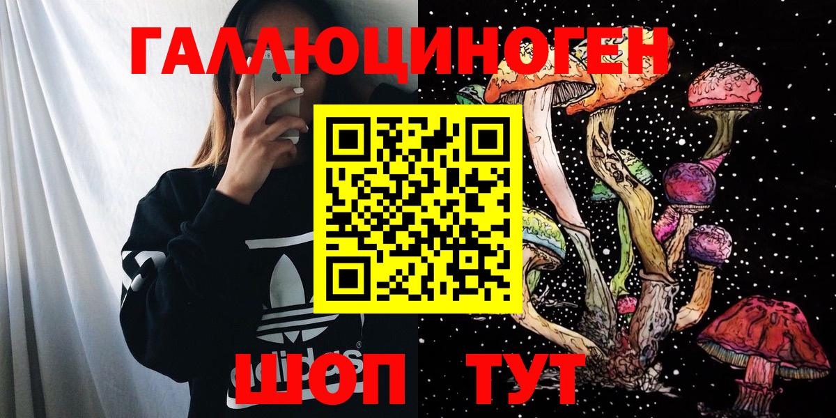 Чебаркуль  Псилоцибиновые грибы Psilocybe  Вход с VPN 