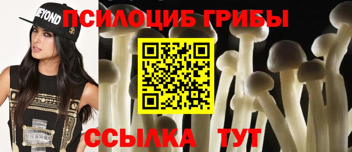 Галлюциногенные грибы Psilocybine cubensis Чебаркуль